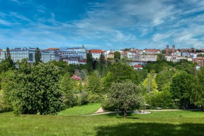 Was kostet die Reservierung eines Wunschkennzeichens PS ZW für Südwestpfalz